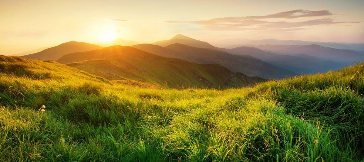 Soluciones de la naturaleza: La mejor aliada