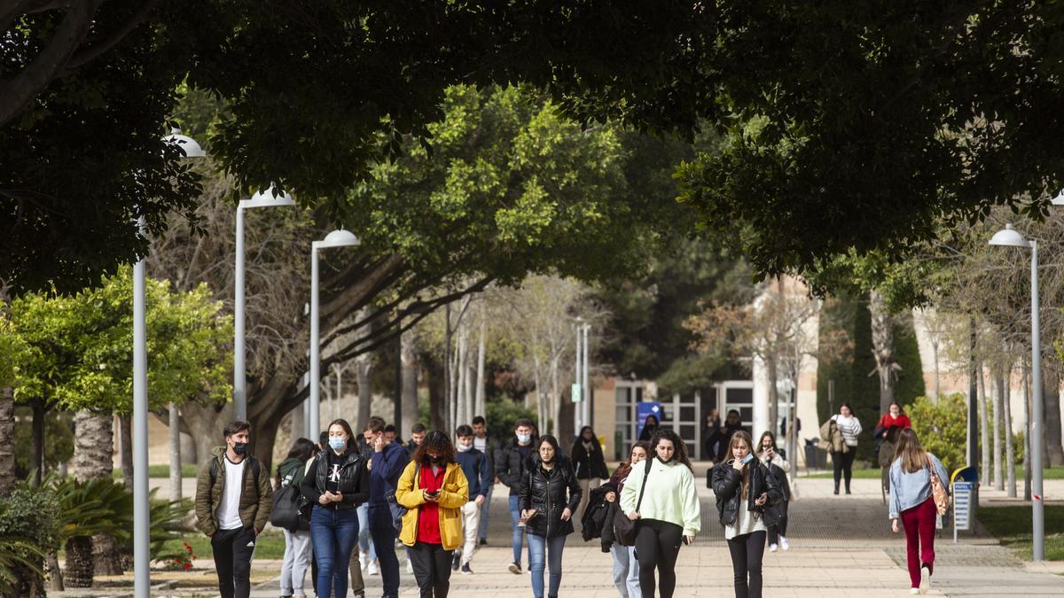 Imagen del campus de la Universidad de Alicante en una imagen de archivo