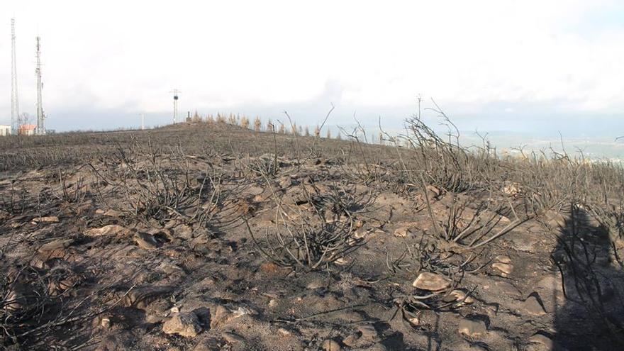 Una finca quemada por los incendios. // Daniel González Alén