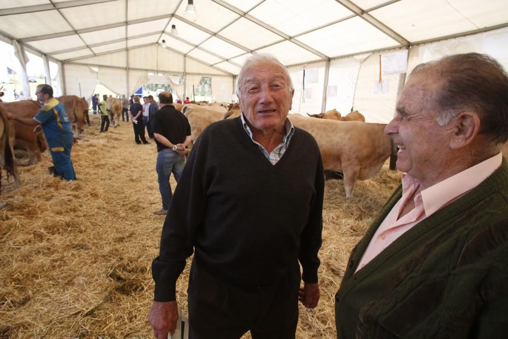 Feria de ganado de Manzaneda, en Gozón