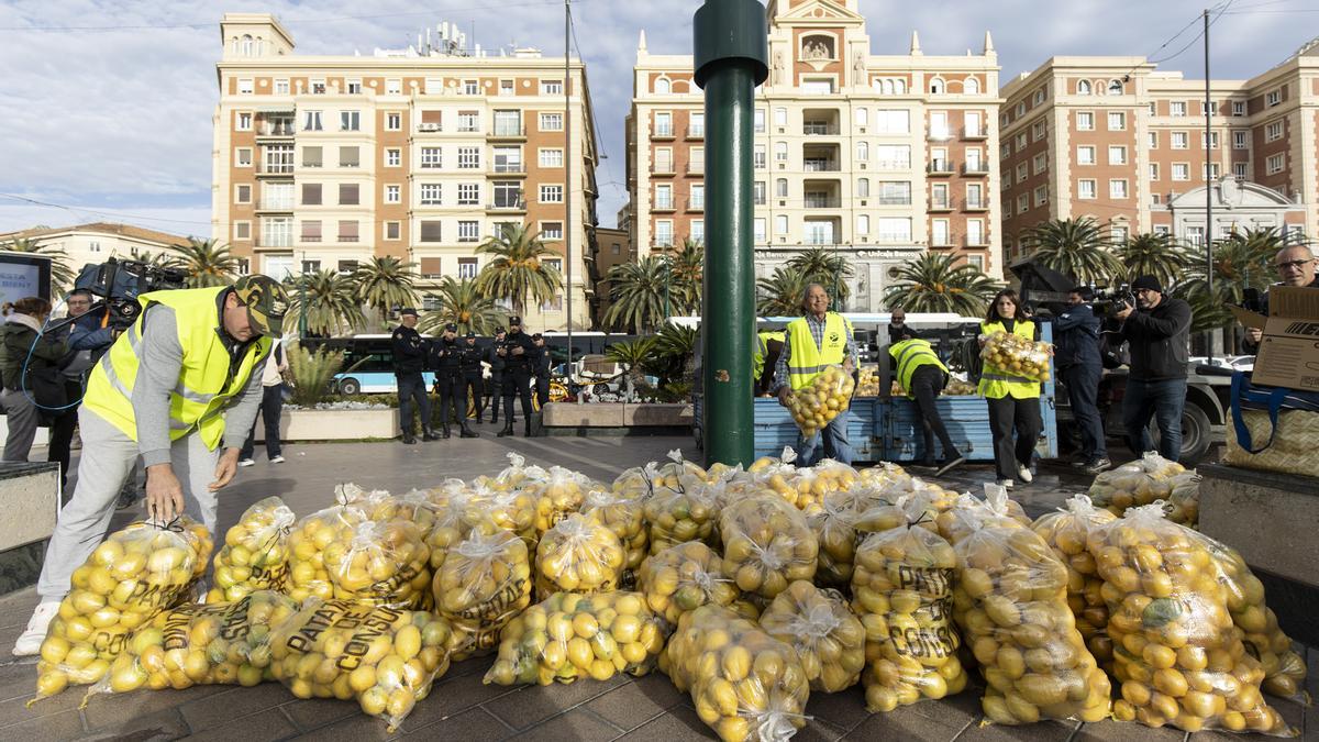 Los agricultores malagueños regalan 3.000 kilos de limones ante los bajos precios.