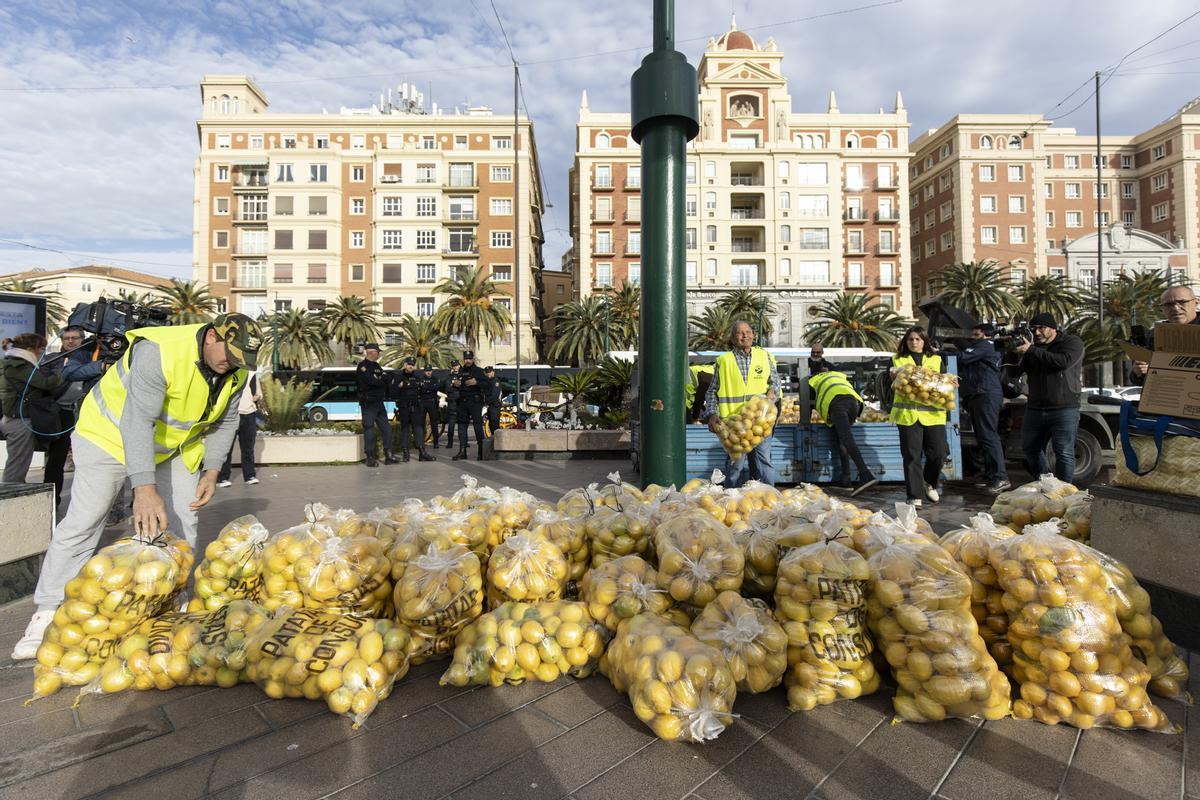 Los agricultores regalan 3.000 kilos de limones en Málaga hartos de los precios de ruina