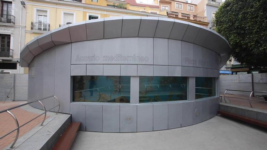 Un acuario con UCI para peces enfermos en la Plaza Nueva