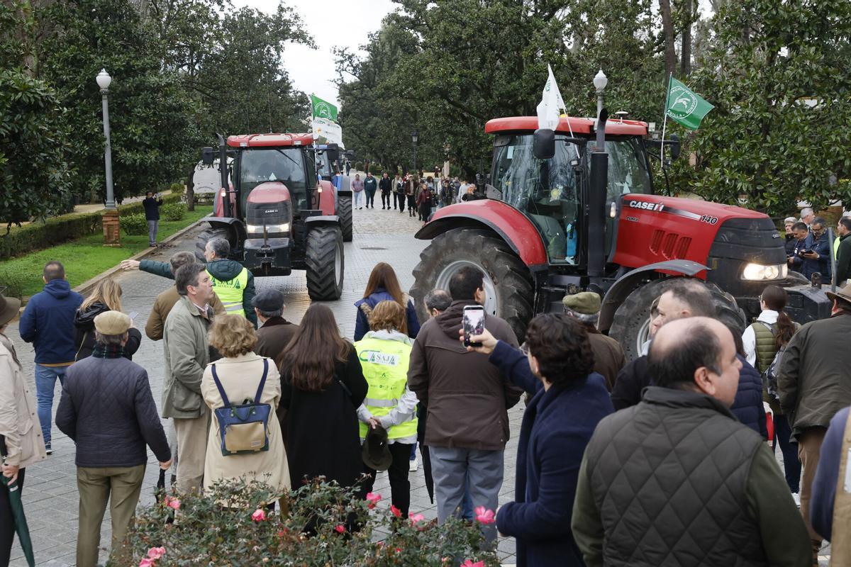 Varios tractores llegan a la Plaza de España de Sevilla, este martes. Varios tractores llegan a la Plaza de España de Sevilla, este martes.