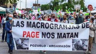 El 29% del agua subterránea de España tiene nitratos a causa de la ganadería industrial, denuncia Greenpeace