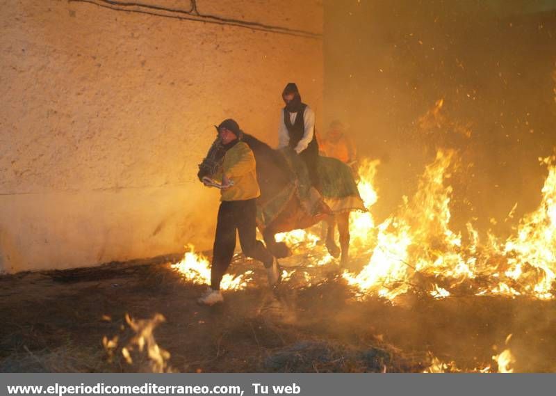 GALERÍA DE FOTOS - Fuego y demonios por Sant Antoni