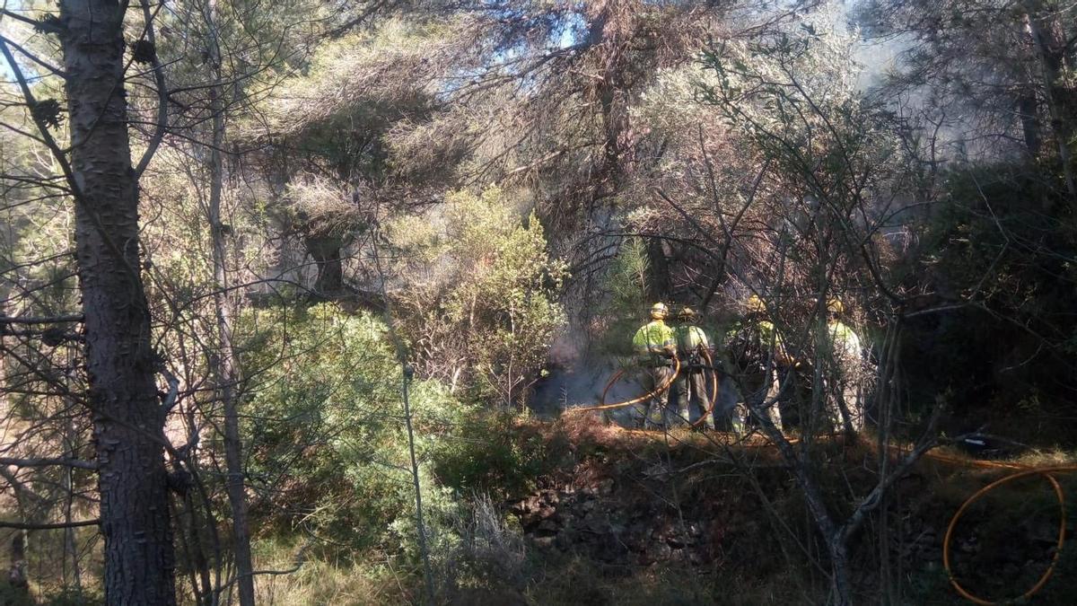 Los bomberos del CPBC, en las labores de extinción del incendio forestal de Moró.