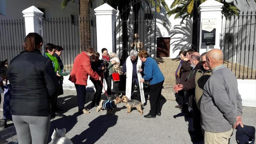 BENDICEN a LOS ANIMALES POR LA Fiesta de SAN ATÓN