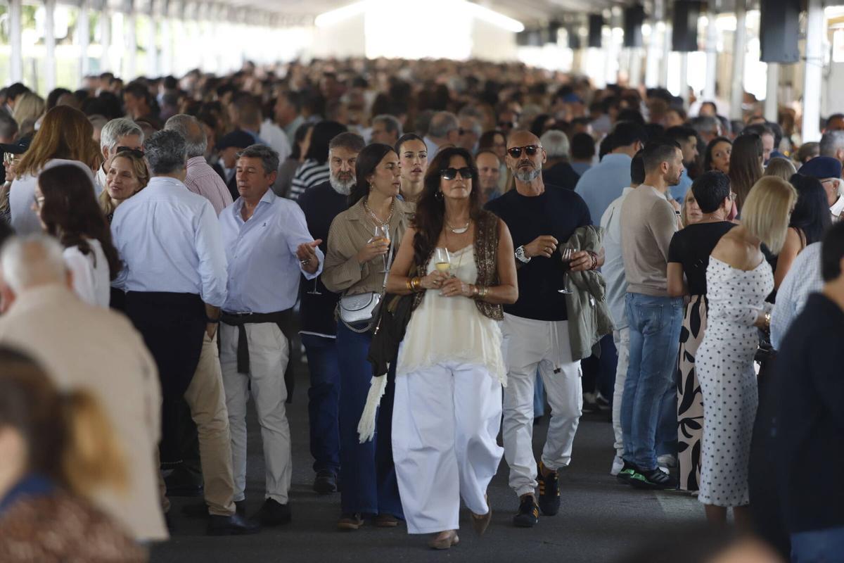 La jornada de la Cata de Vino de Córdoba, en imágenes