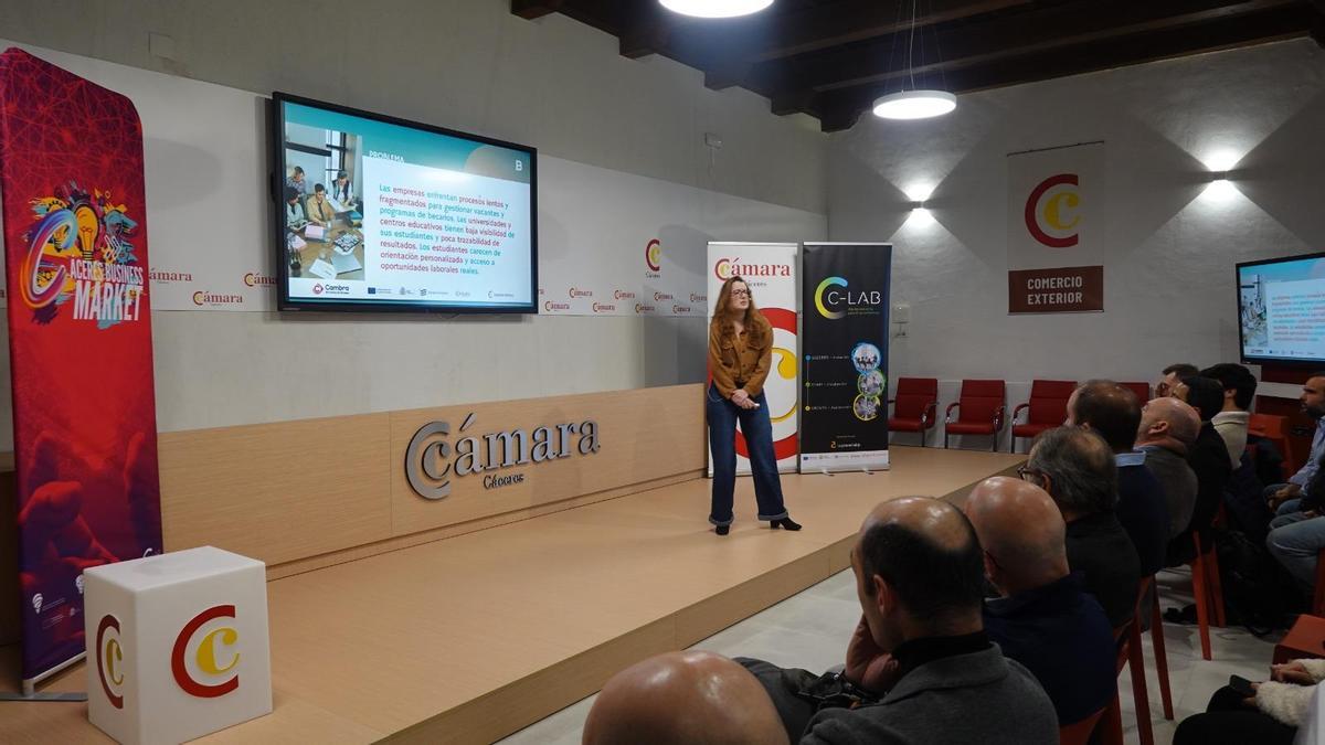 Cáceres Business Market