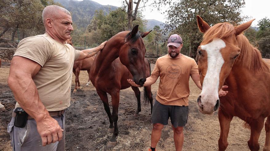 Vecinos de Aguamansa regresan a sus casas tras el incendio en La Orotava