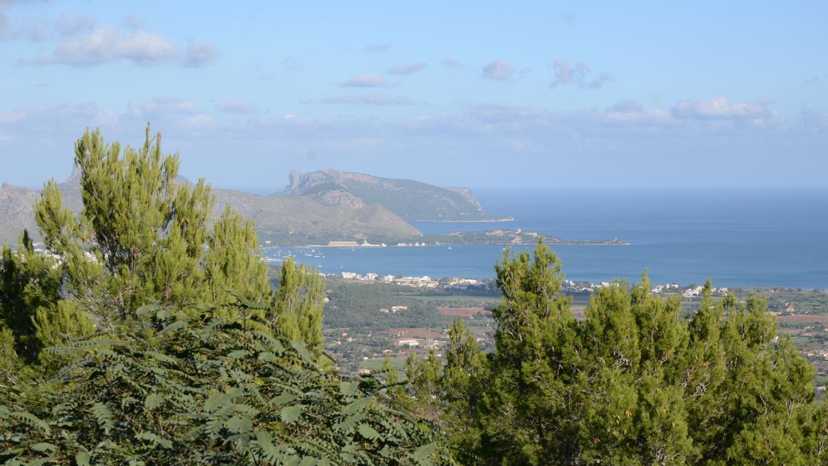 Die Sonne scheint, es ist nicht heiß. Perfekte Bedingungen, um Mallorca bei einer Wanderung zu erkunden.