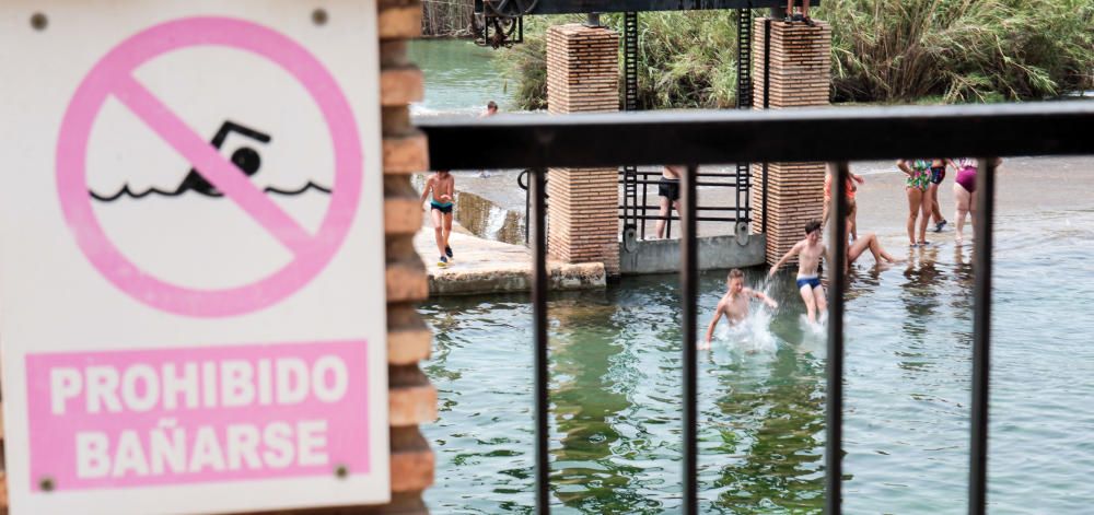 Los bañistas acuden al Assut d'Antella aunque el baño está prohibido