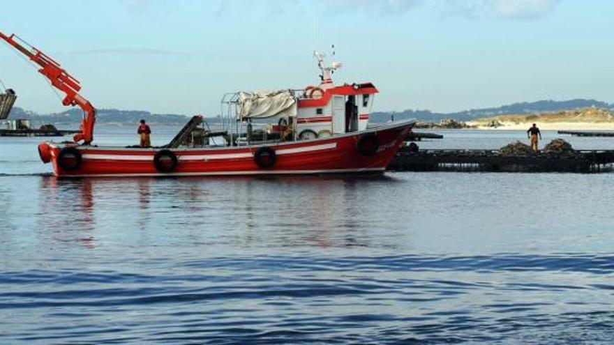 Un barco auxiliar de acuicultura se acerca a las bateas, donde estos días el sector afronta tareas de mantenimiento y &quot;encordado&quot;.  // I. Abella