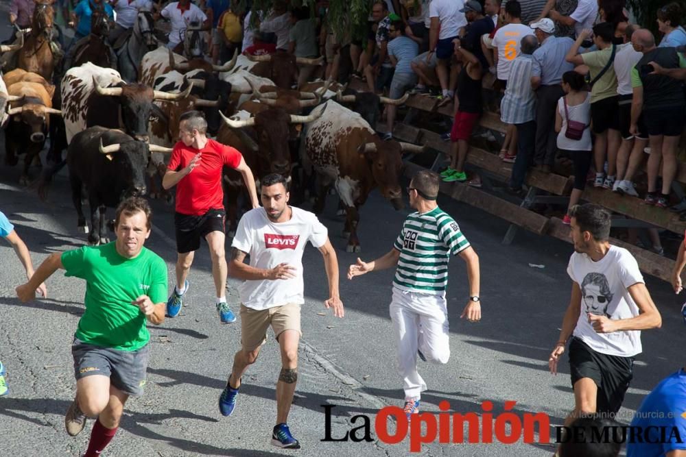 Quinto encierro en Moratalla