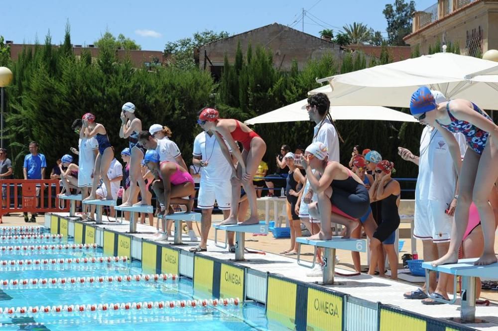 Trofeo Ciudad de Murcia