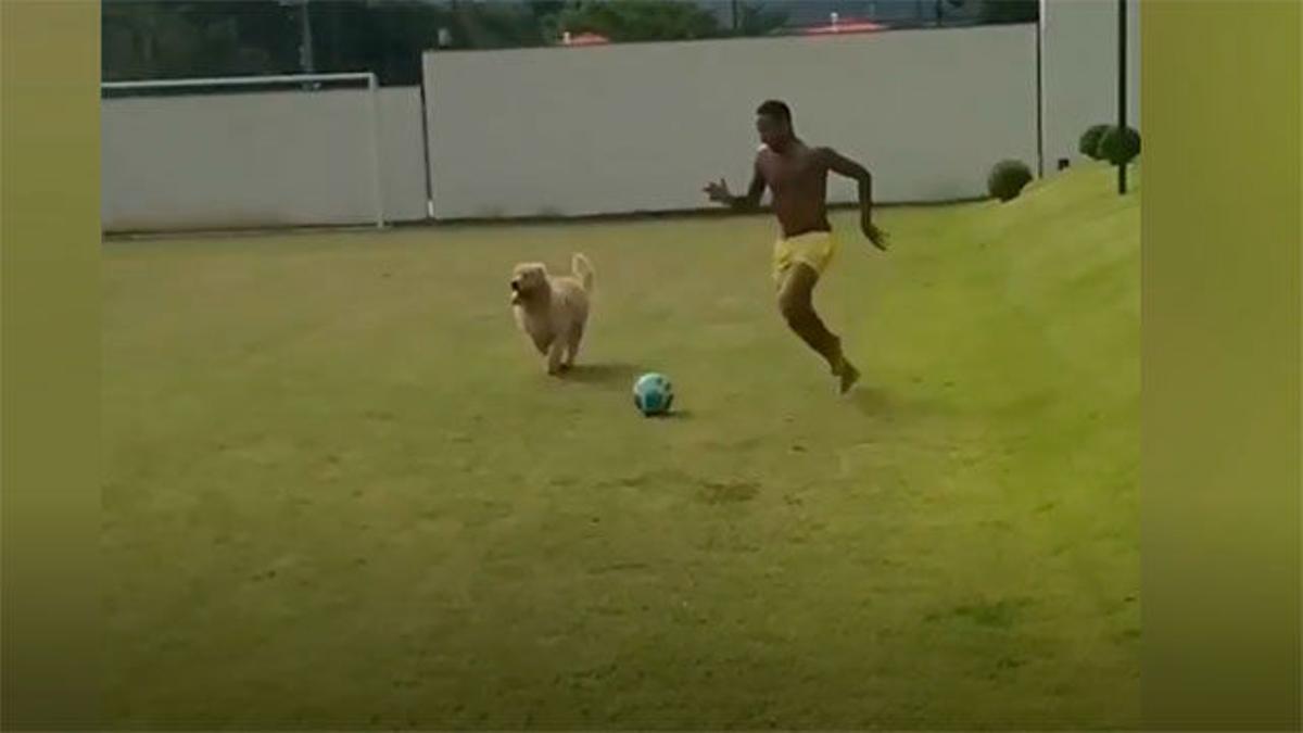 Neymar se divierte con sus perros durante el confinamiento