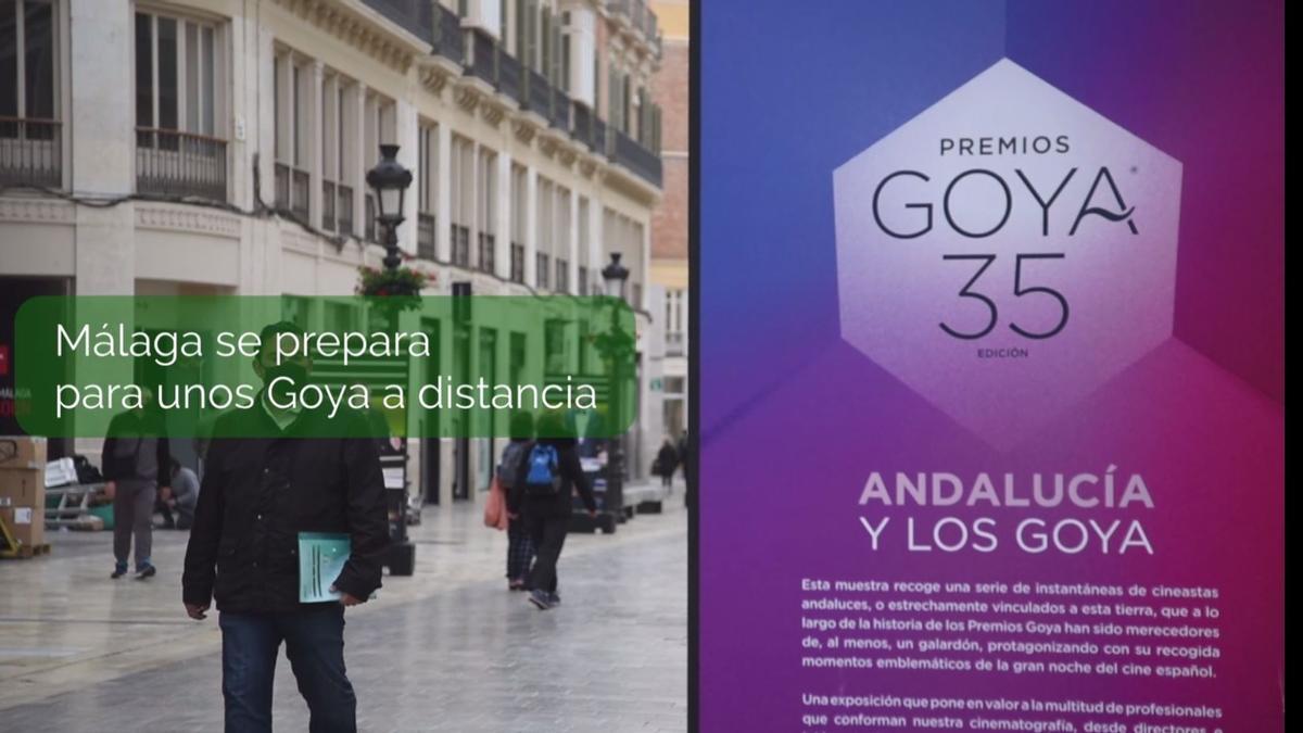 Exposición sobre los Goya en la calle Larios.