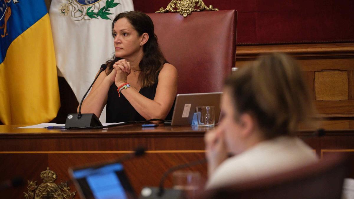 La tercera teniente de alcalde, la popular Zaida González, presidió la comisión de control de este jueves.