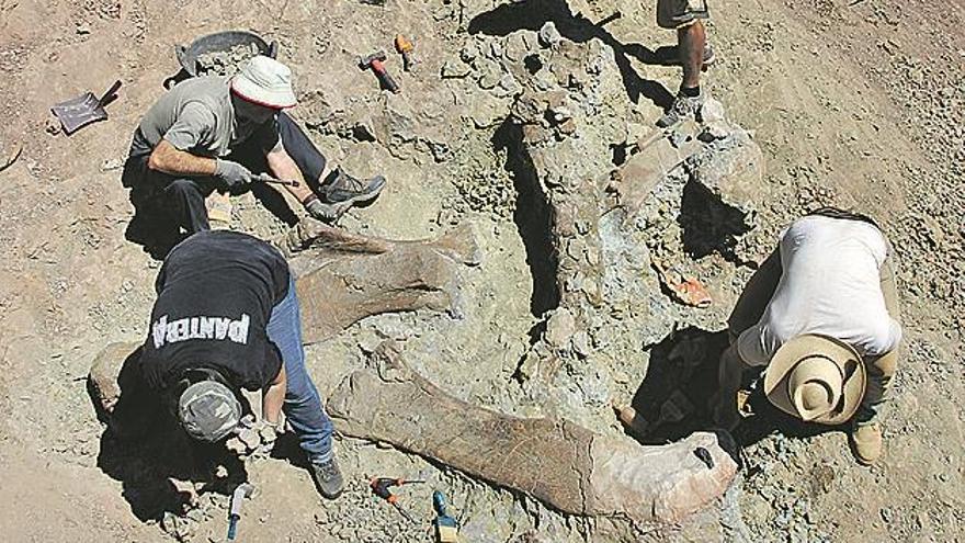 «Vi una enorme piedra con reflejos raros y era un ‘dino’»