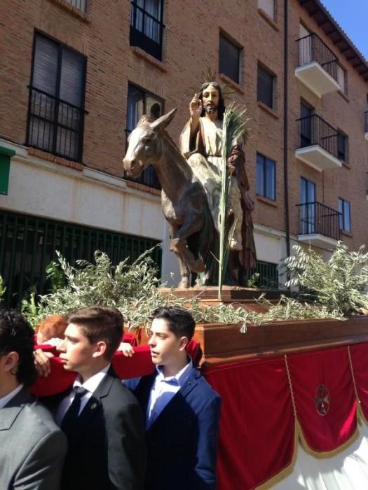 Semana Santa en Toro: La Borriquita