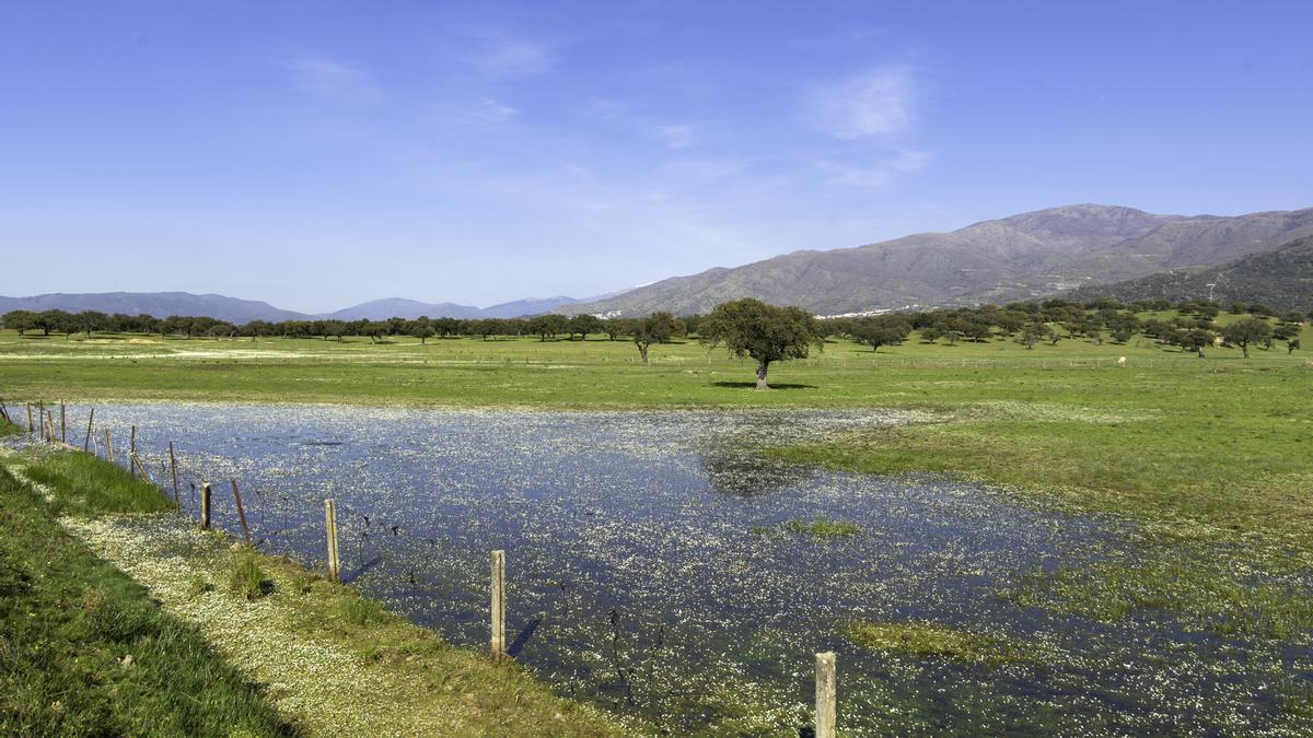 Estampa primaveral en el norte de la región.