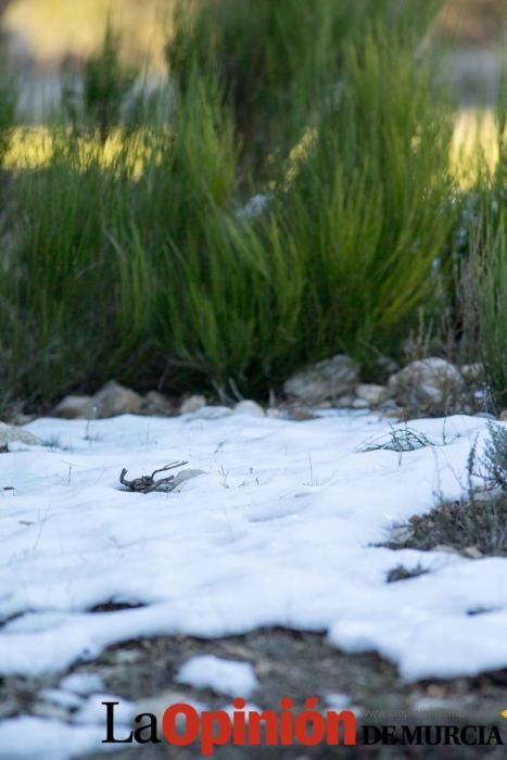 Nieve en Revolcadores