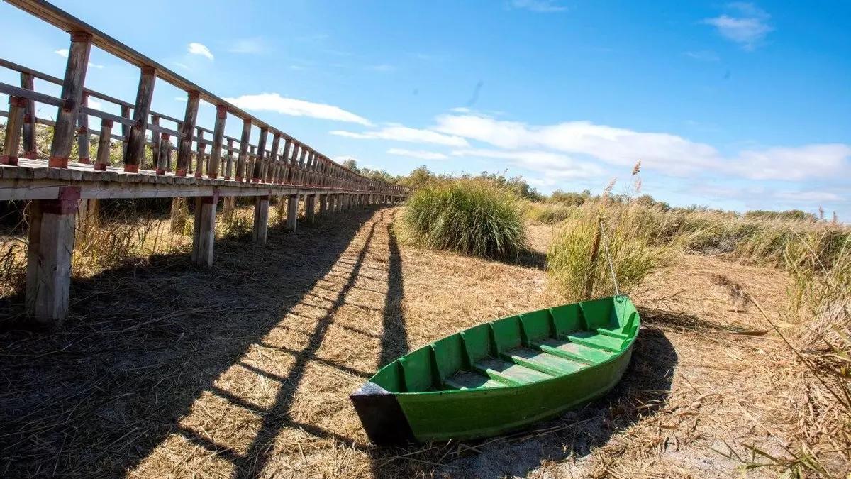 Las Tablas de Daimiel, sin agua.