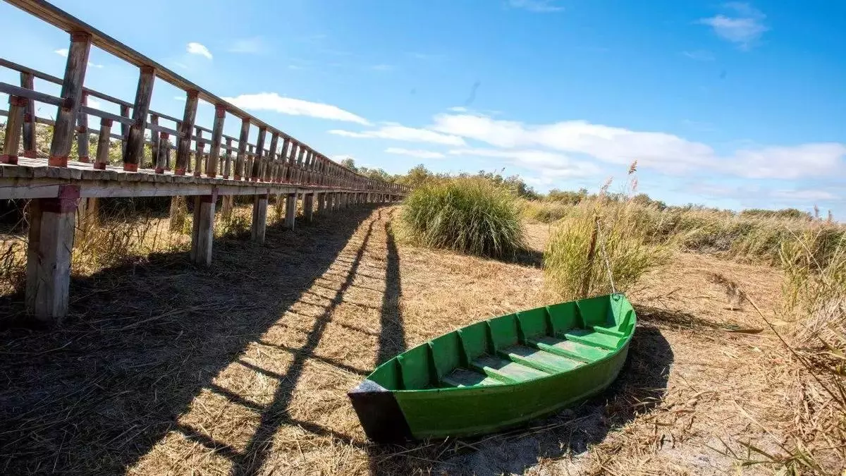 Tablas de Daimiel: exigen medidas urgentes para un parque nacional en estado crítico