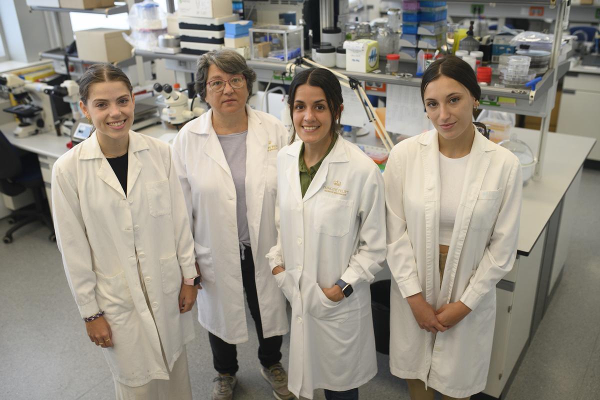 De izquierda a derecha Esther Gallarín, Cristina Martí, Verónica Llorens y Elena Tormo en su laboratorio del CIPF.