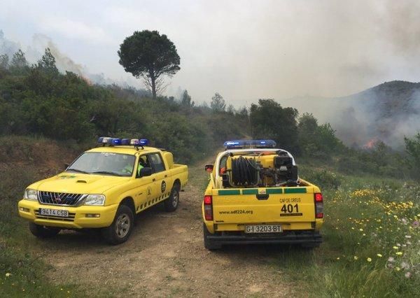 Un incendi forestal crema a tocar de l'estació de tren de Llançà