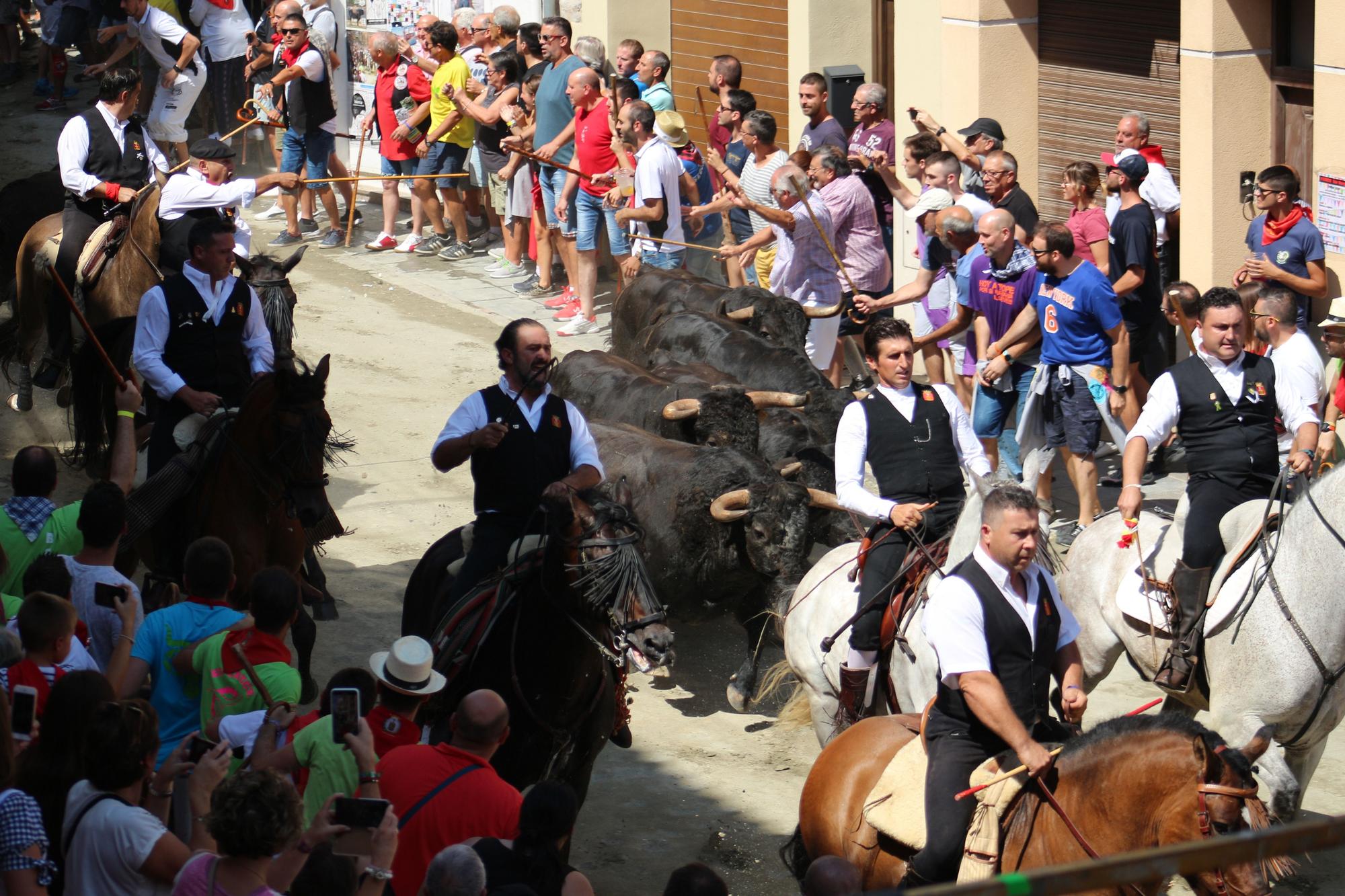 La Entrada de Toros y Caballos de Segorbe, una tradición que vuelve