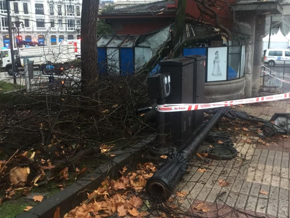 Destrozos en El Escorialín