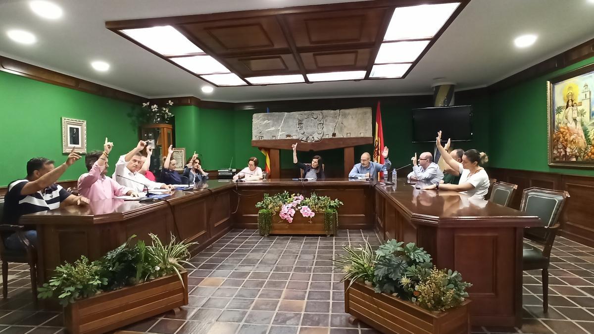 Foto de la votación del pleno extraordinario de este viernes