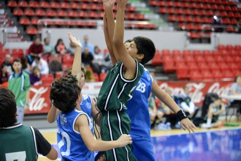 DÍA DEL MINIBASKET. Partidos de las 10:30 horas