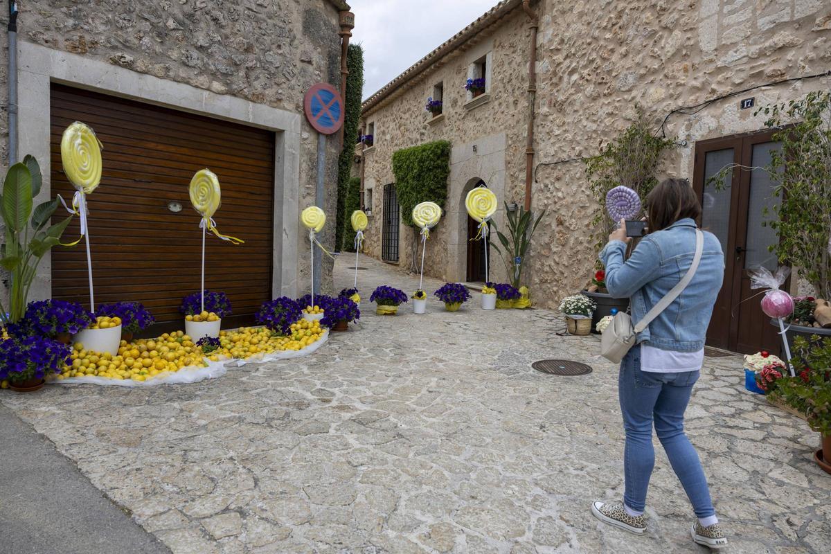 Las mejores imágenes de la Fira de les Flors de Costitx