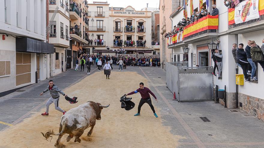 Castelló encara la Pascua con ‘bous’ más caros y los seguros resueltos