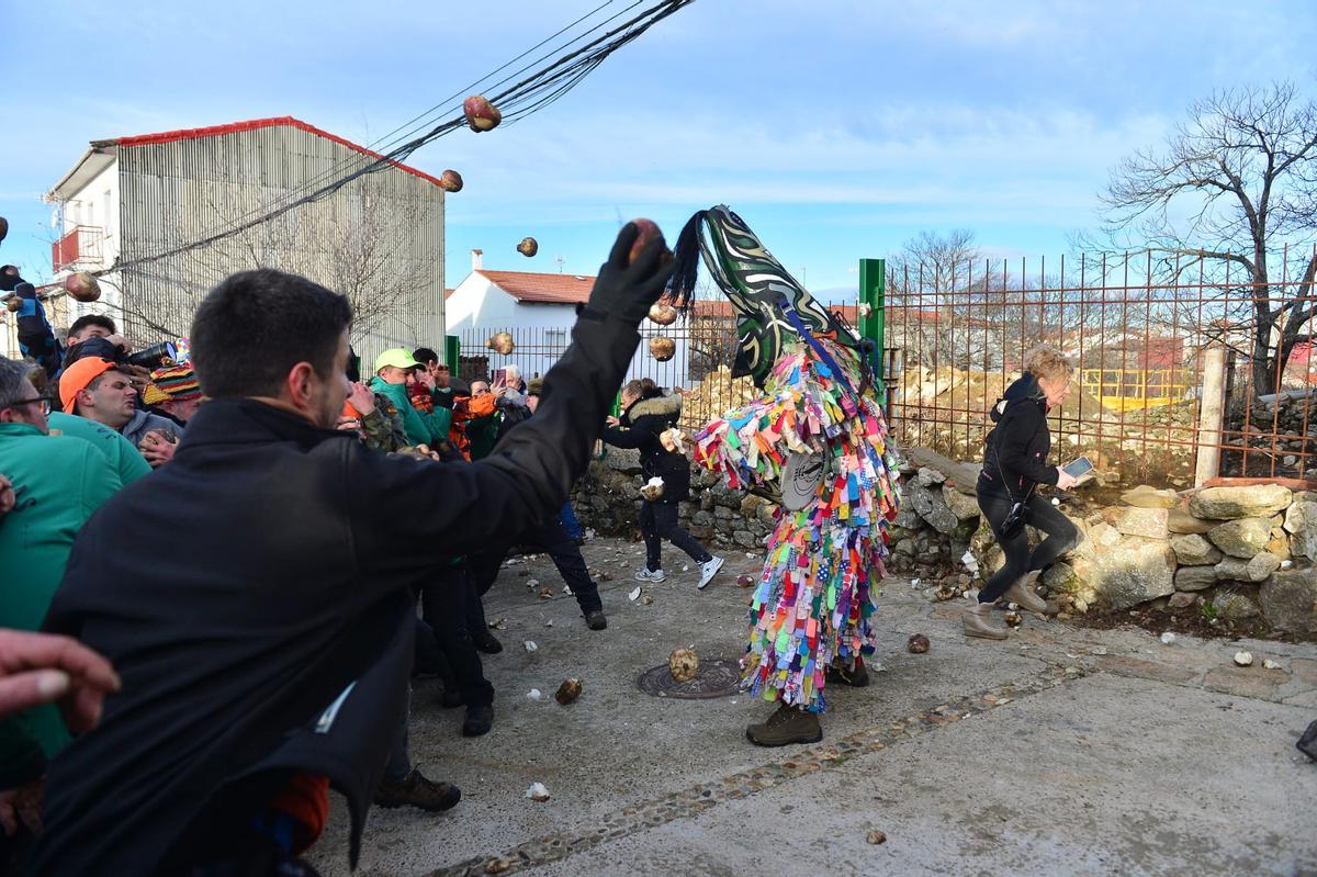 Fotogalería | Lluvia de nabos en Piornal para el Jarramplas