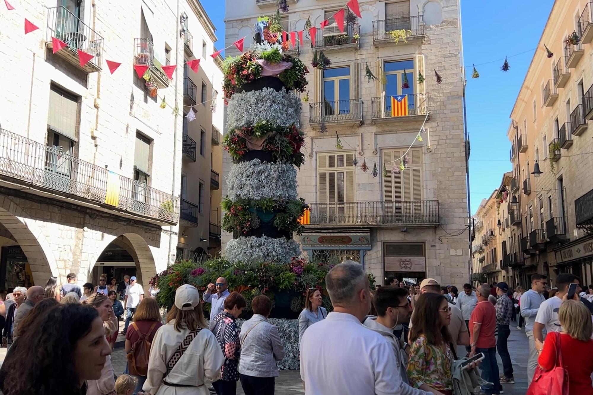 Les imatges de 'Girona, Temps de Flors' 2024