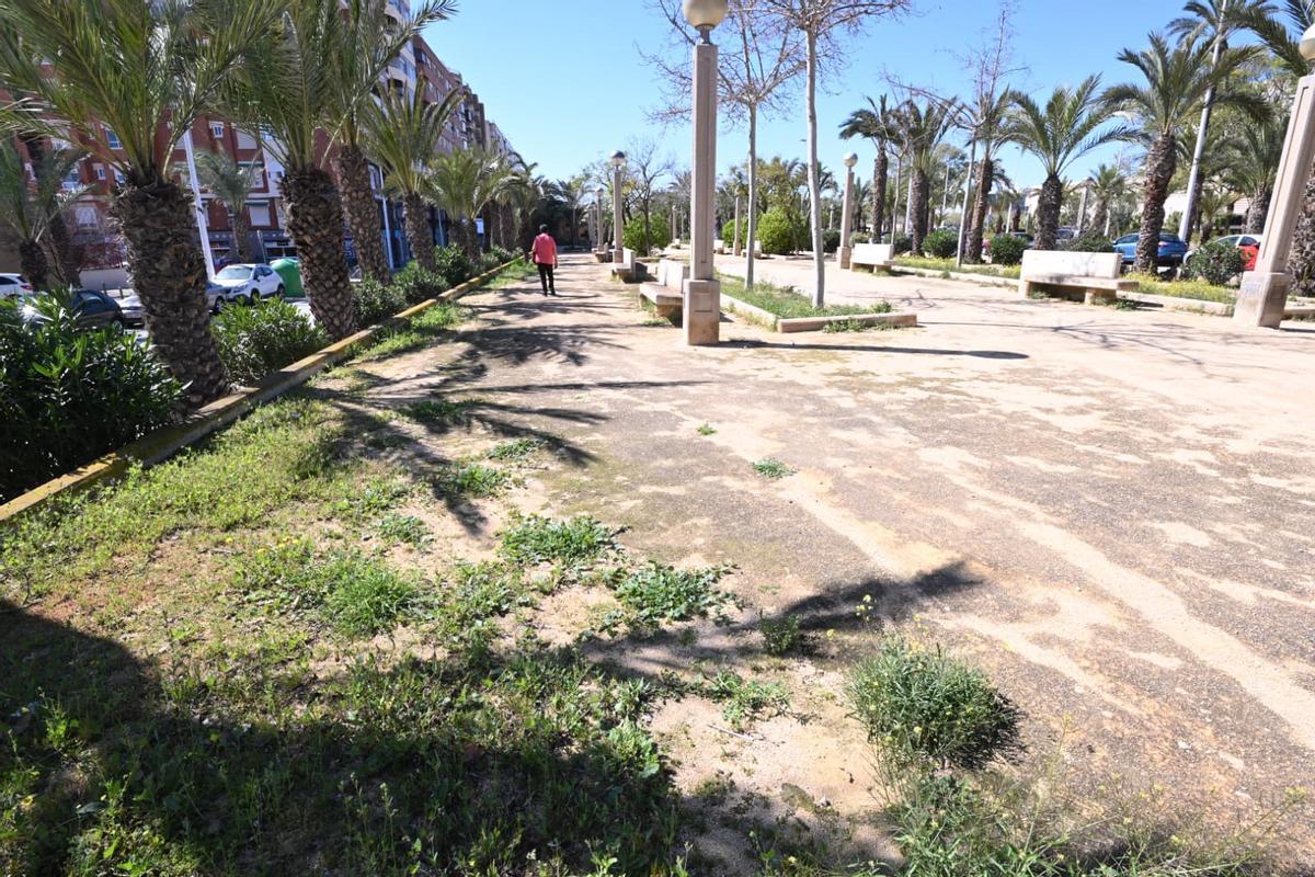 Las lluvias han motivado la proliferación de malas hierbas en el parque de la avenida de la Universidad de Elche