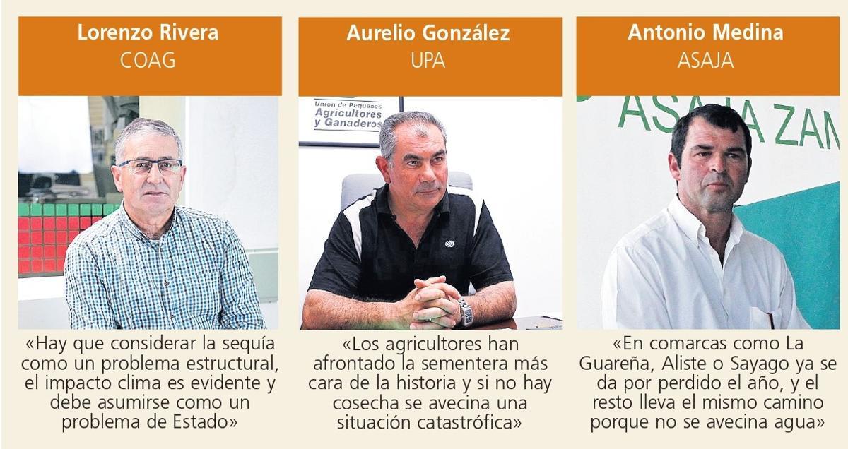 La opinión de los líderes agrarios zamoranos