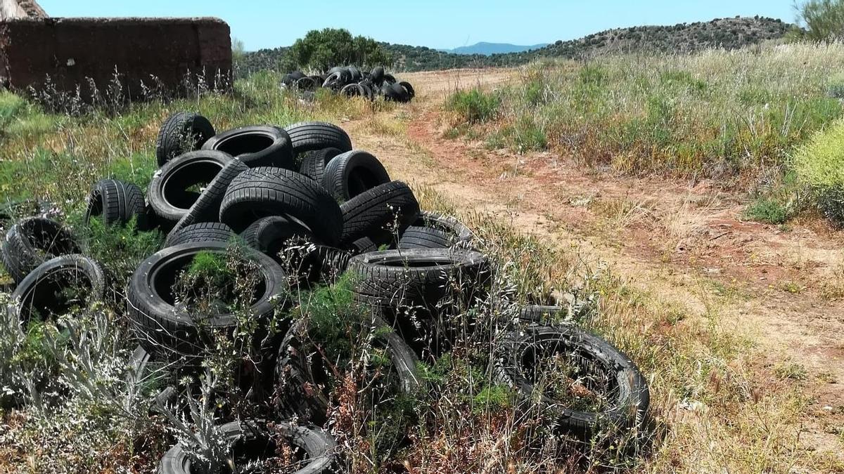 Montones de neumáticos en la zona de La Esmeralda.