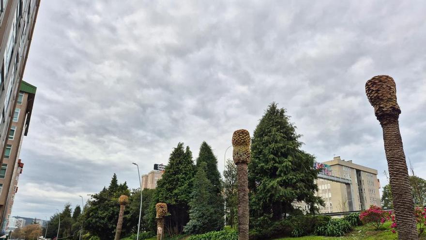 De Elviña a Linares Rivas, la avenida de Alfonso Molina ve desaparecer sus palmeras
