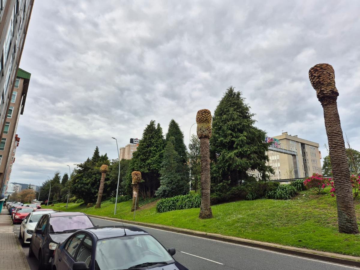 Palmeras con picudo rojo en la avenida de Alfonso Molina de A Coruña