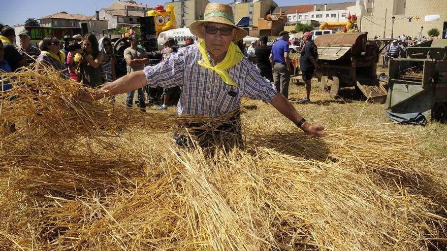 La quinta edición de la Malla se celebró a finales de agosto del año pasado en una finca del núcleo urbano de Silleda. // Bernabé/Javier Lalín