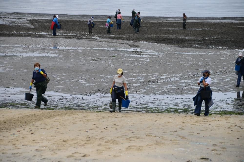 Mariscadores de Cangas y Moaña, en mar y en tierra