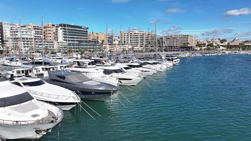 La Lonja Marina Chárter gana el concurso para gestionar los amarres de alquiler del Paseo Marítimo de Palma