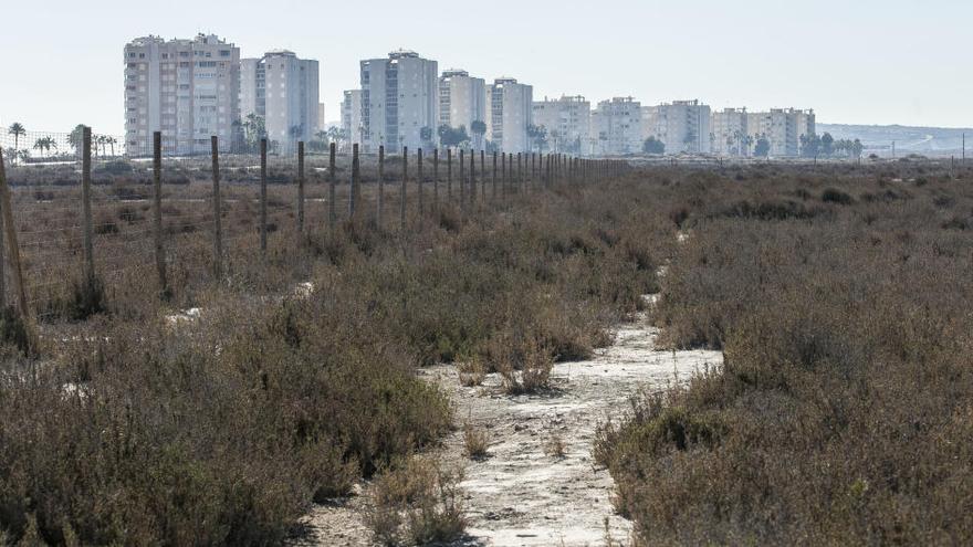 El Pativel contempla conectar Alicante y Elche con una vía verde por la costa