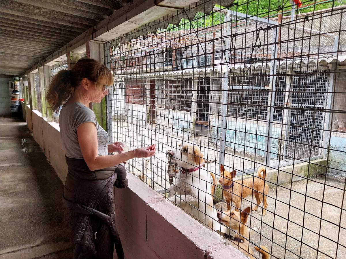 Una voluntaria da de comer ayer a los perros en el refugio de Broullón.