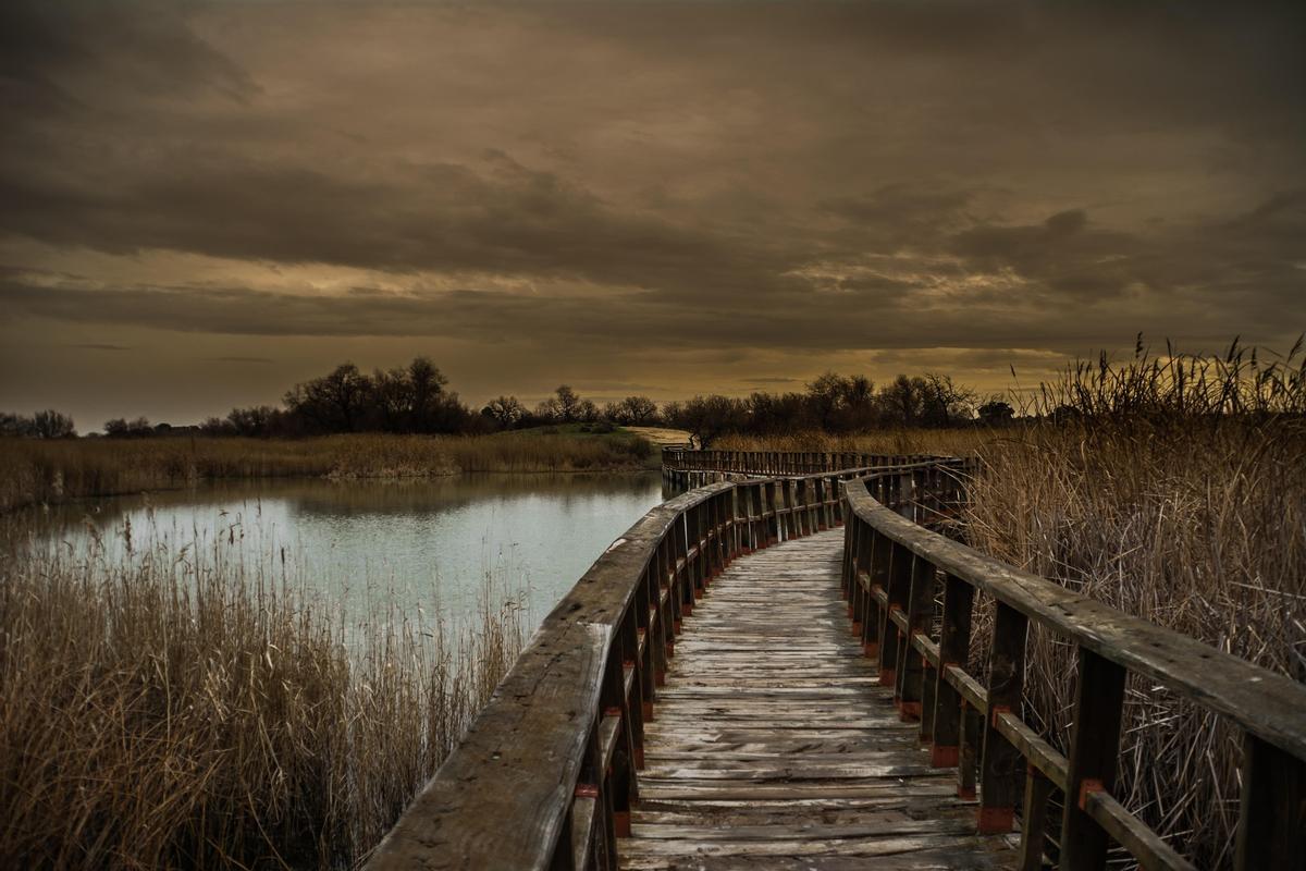 Parques nacional de las Tablas de Daimiel.